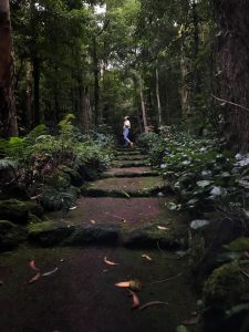 serrata, terceira, azores